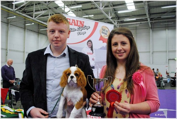 Best Baby Puppy in Show - Orinoco Finger on the Pulse