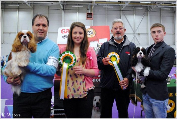 BIS, Best Dog - Nightingale Golden Ticket at Ardgrove & Res BIS, Best Bitch - Craigowl Blue Print